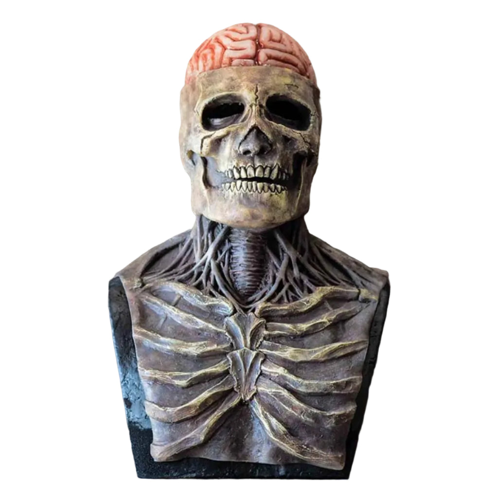 Halloween Skelet Gysermaske | Latexkonstruktion & Detaljeret Kraniedesign | Kostumemaske Til Fester & Temabegivenheder | Vanero