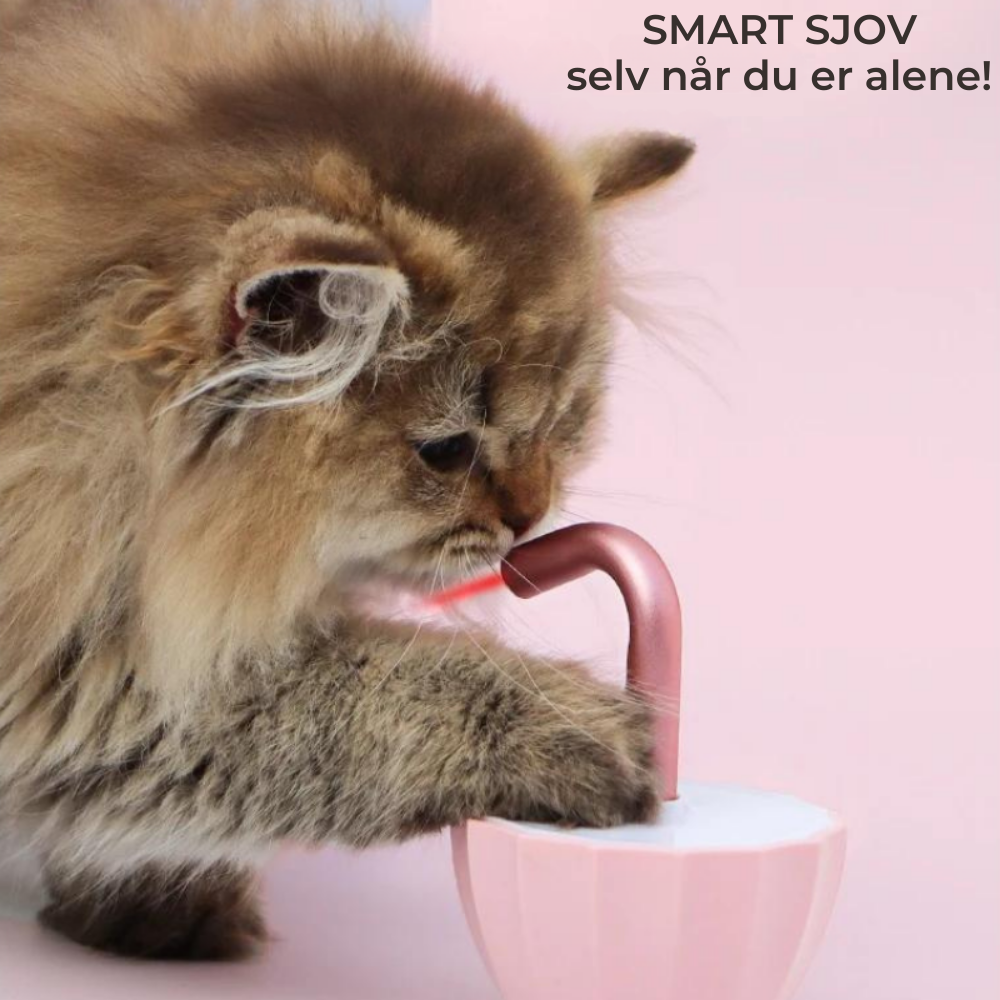 KittyBeam | Automatisk kattelegetøj med laser l Vanero