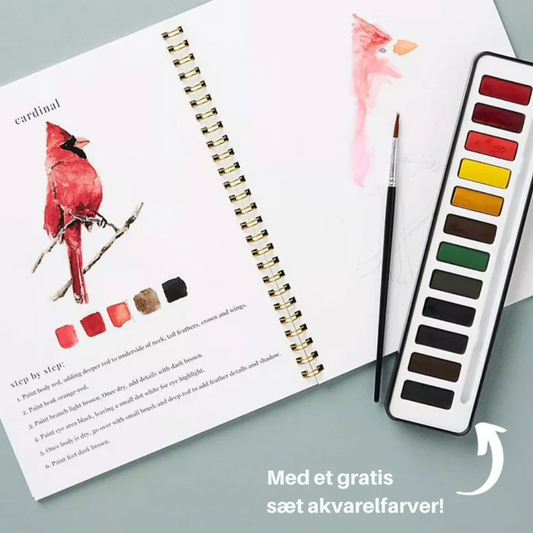 Akvarella | Sæt gang i din kreativitet med vores sjove akvarel-arbejdsbog! l Vanero