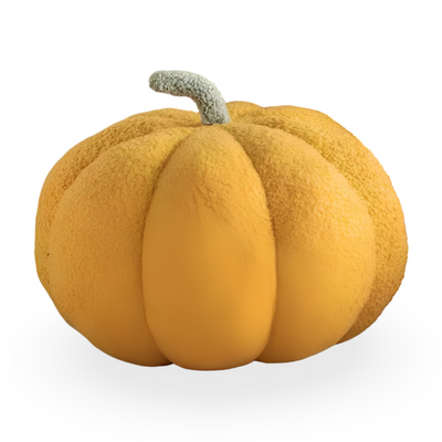 Græskar Pude | Tekstureret Græskar Plüsch Pude | Vanero