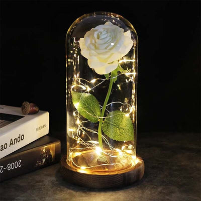 Evig rose under klokkeglas | Tidløst symbol for kærlighed | Vanero
