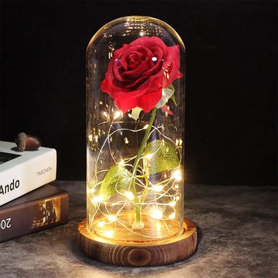 Evig rose under klokkeglas | Tidløst symbol for kærlighed | Vanero