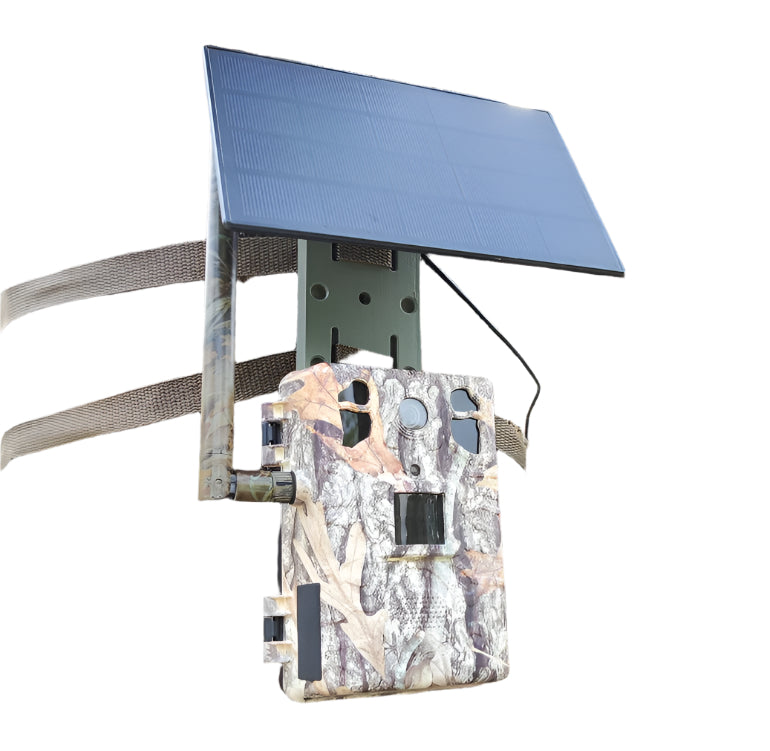 WildView | Soldrevet Overvågningskamera til Vilde dyr | Vanero