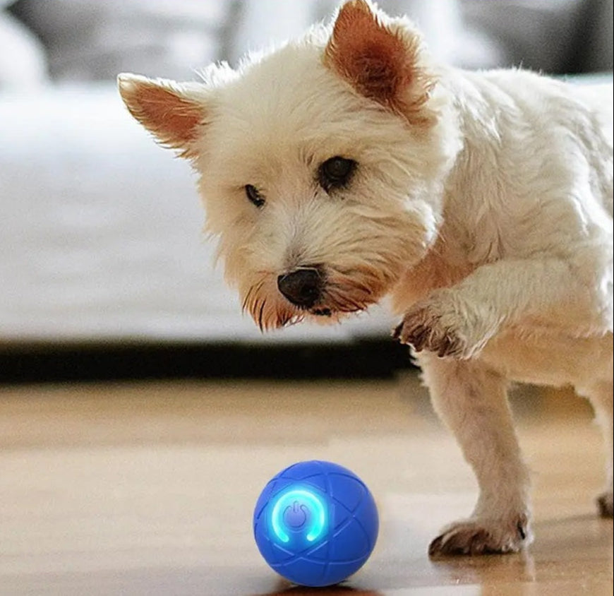 WoofVibe | Holder Din Hund Underholdt Timevis | Vanero