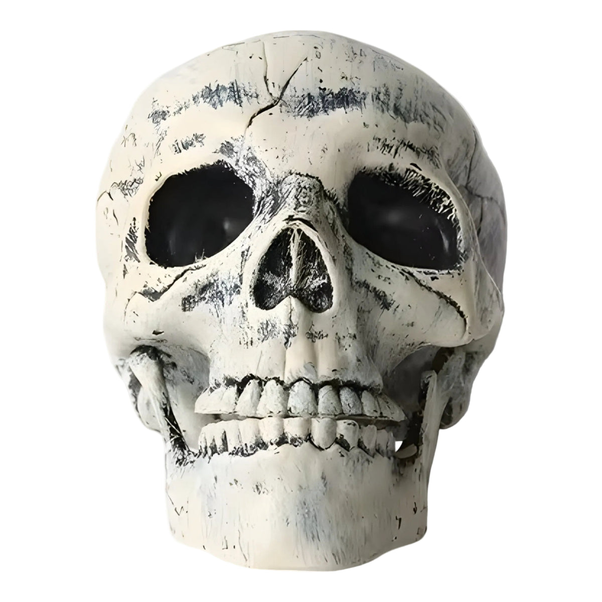 Halloween Skeletdekoration | Kranie & Knogledesign i Plast | Let Hængende Ornament Til Fester & Sæsonudstillinger | Vanero