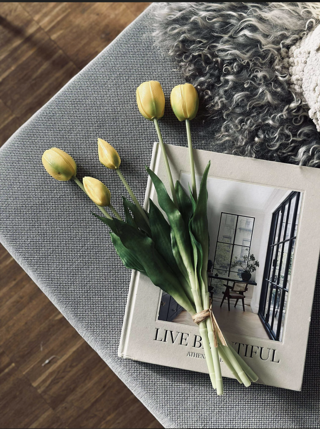Tulipaner | Flere Farver | Vanero