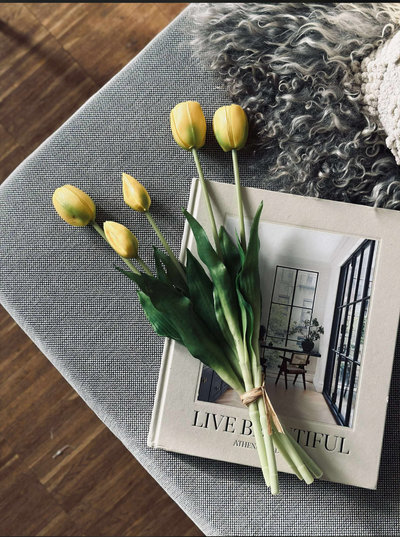 Tulipaner | Flere Farver | Vanero
