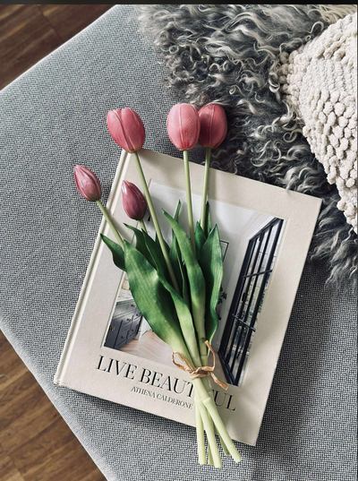 Tulipaner | Flere Farver | Vanero