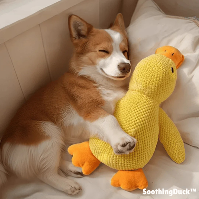 SoothingDuck | Anti-stress-anden til din hund l Vanero