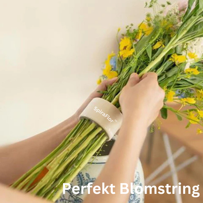 SpiraFlor | Ikebana Blomster-spiralholder l Vanero