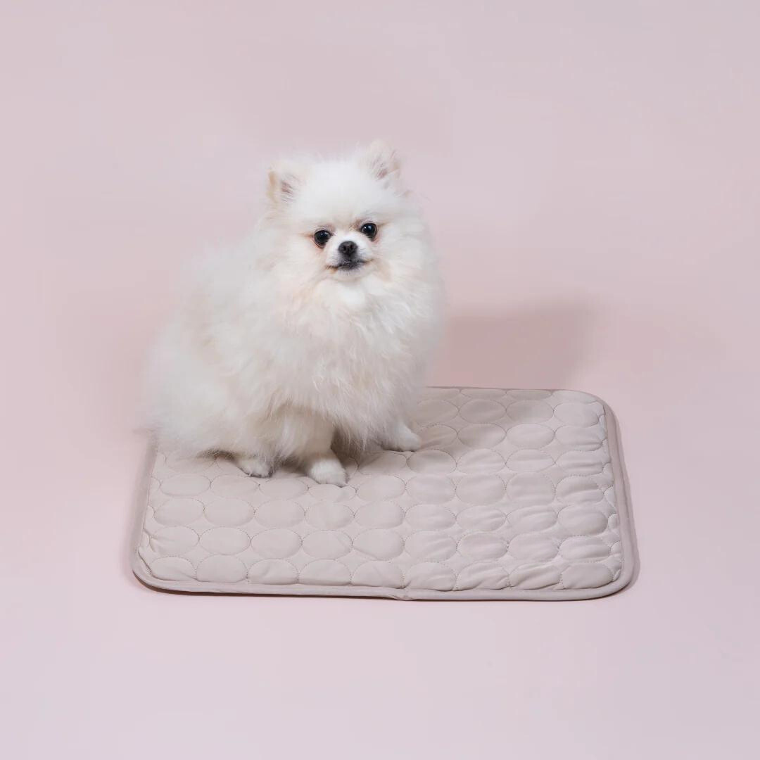 Kølemåtte til Hunde | Holder Din Hund Kølig & Komfortabel Hele Sommeren | Vanero