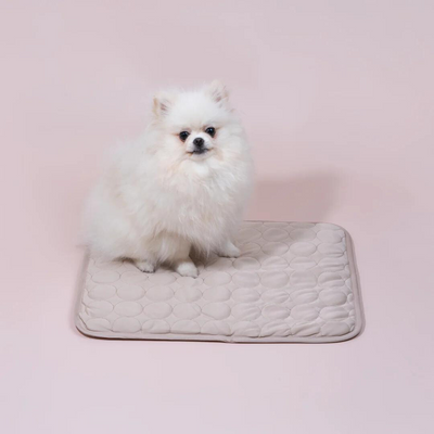 Kølemåtte til Hunde | Holder Din Hund Kølig & Komfortabel Hele Sommeren | Vanero