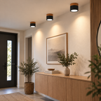 Kompakt LED Loftlampe | Loftbelysning i Metal og Glas | Indendørs Loftarmatur | Vanero