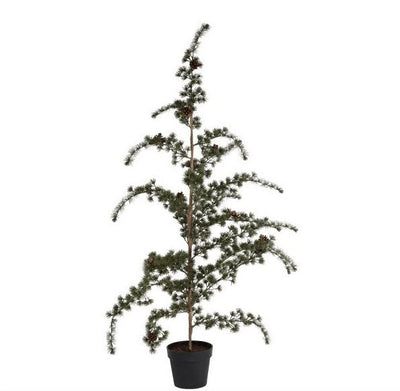 Cedertræ | Grøn 115 cm | Vanero