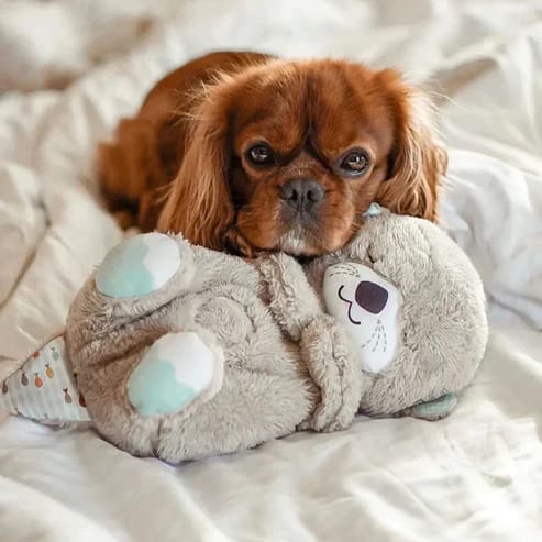 SleepBuddy | Odderen, der giver hvile og søvn | Vanero
