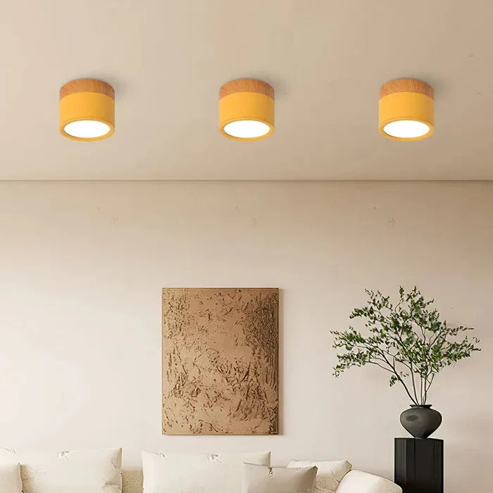 Kompakt LED Loftlampe | Loftbelysning i Metal og Glas | Indendørs Loftarmatur | Vanero