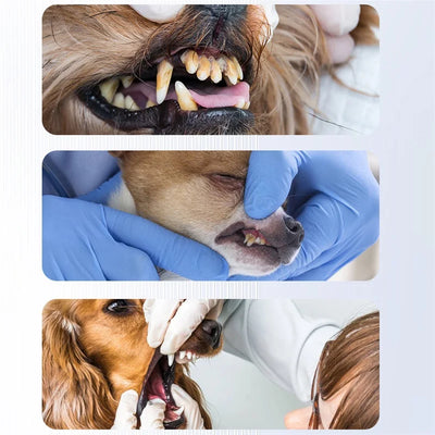 PureSpark | Elektrisk Hundetandbørste | Vanero