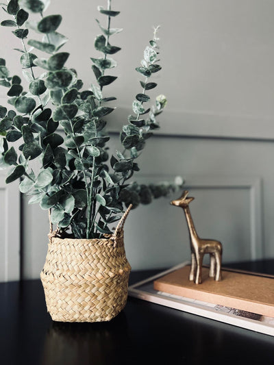 Eucalyptus | Kurv | Vanero