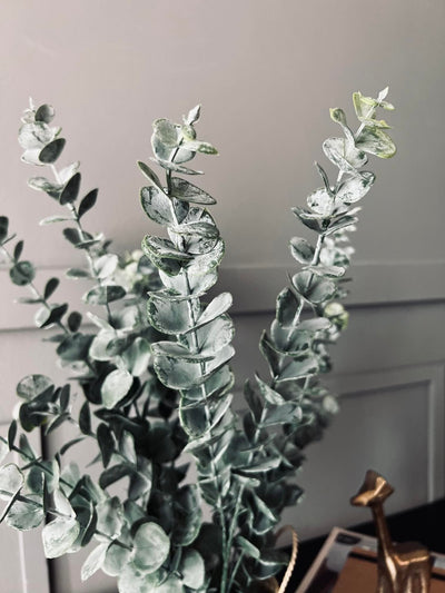 Eucalyptus | Kurv | Vanero