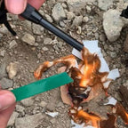 Ildstarter Kit Outdoor Sæt | Magnesiumstang Og Stålskraber Konstruktion | Camping Vandring & Friluftsudstyr Brug | Vanero