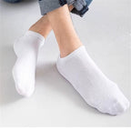 Hvide Ankelstrømper 10-Pak | Bomuldsblanding Med Elastan | Lavskårne Unisex-Strømper I One Size EU 36–42 | Vanero