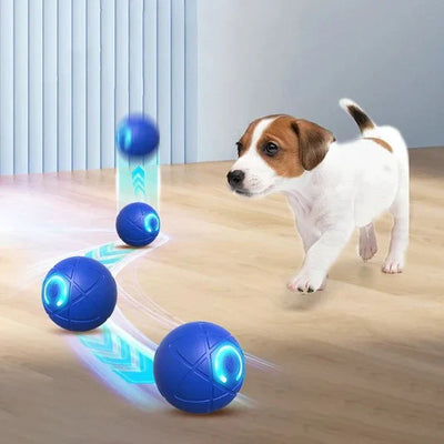 WoofVibe | Holder Din Hund Underholdt Timevis | Vanero